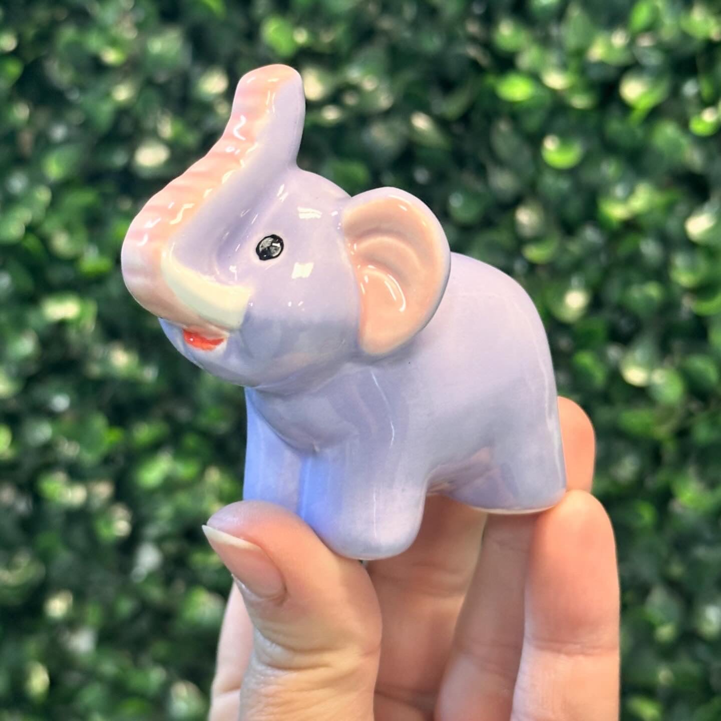 Paint Your Own Pottery