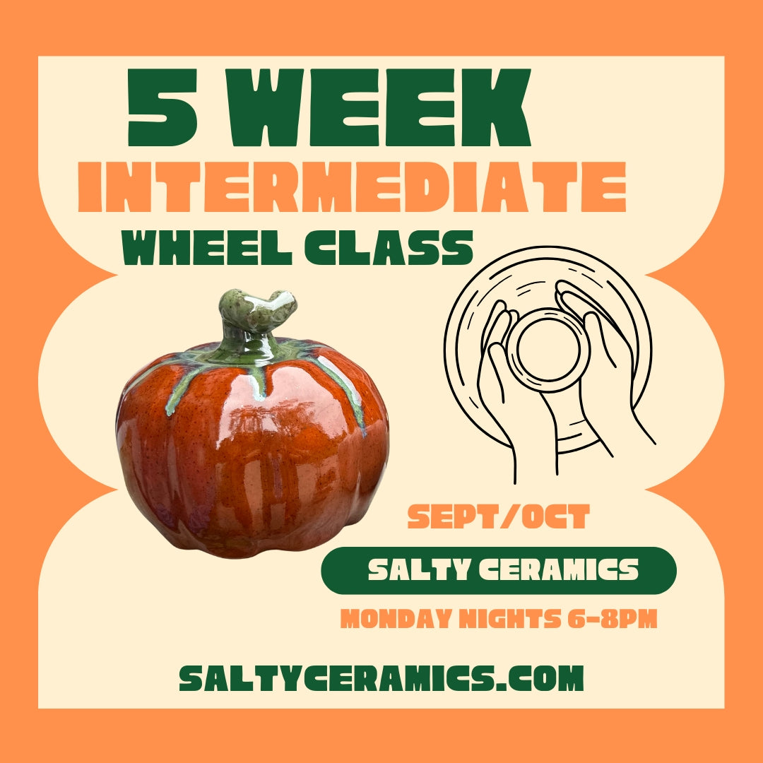5 Week Intermediate Class