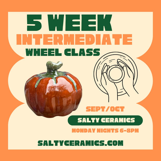 5 Week Intermediate Class
